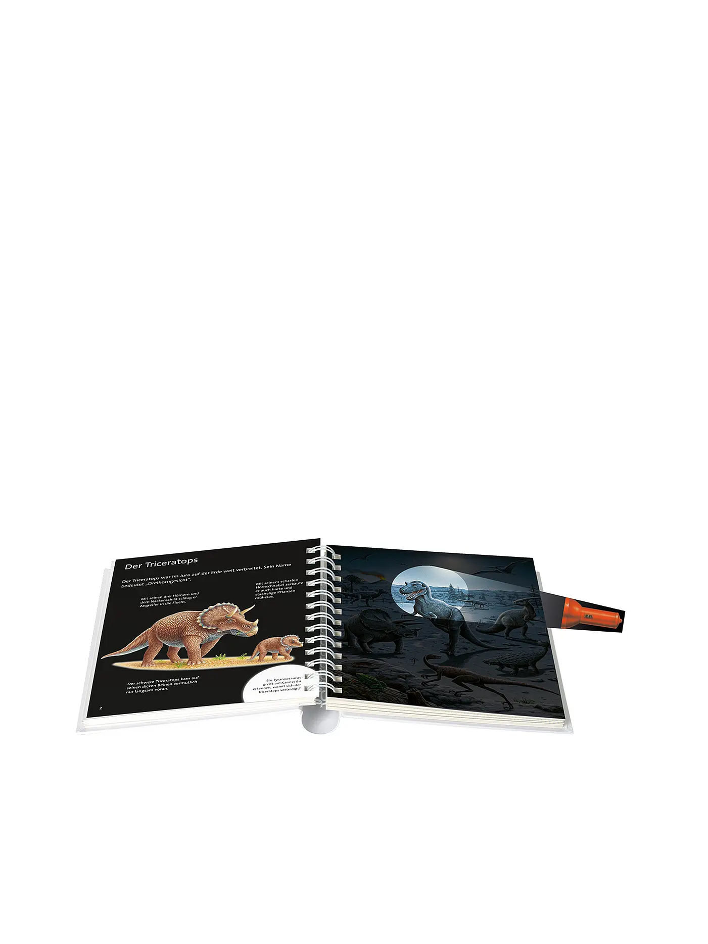 SAUERLAENDER VERLAG | Buch - Mein großes Buch der Dinosaurier | 
